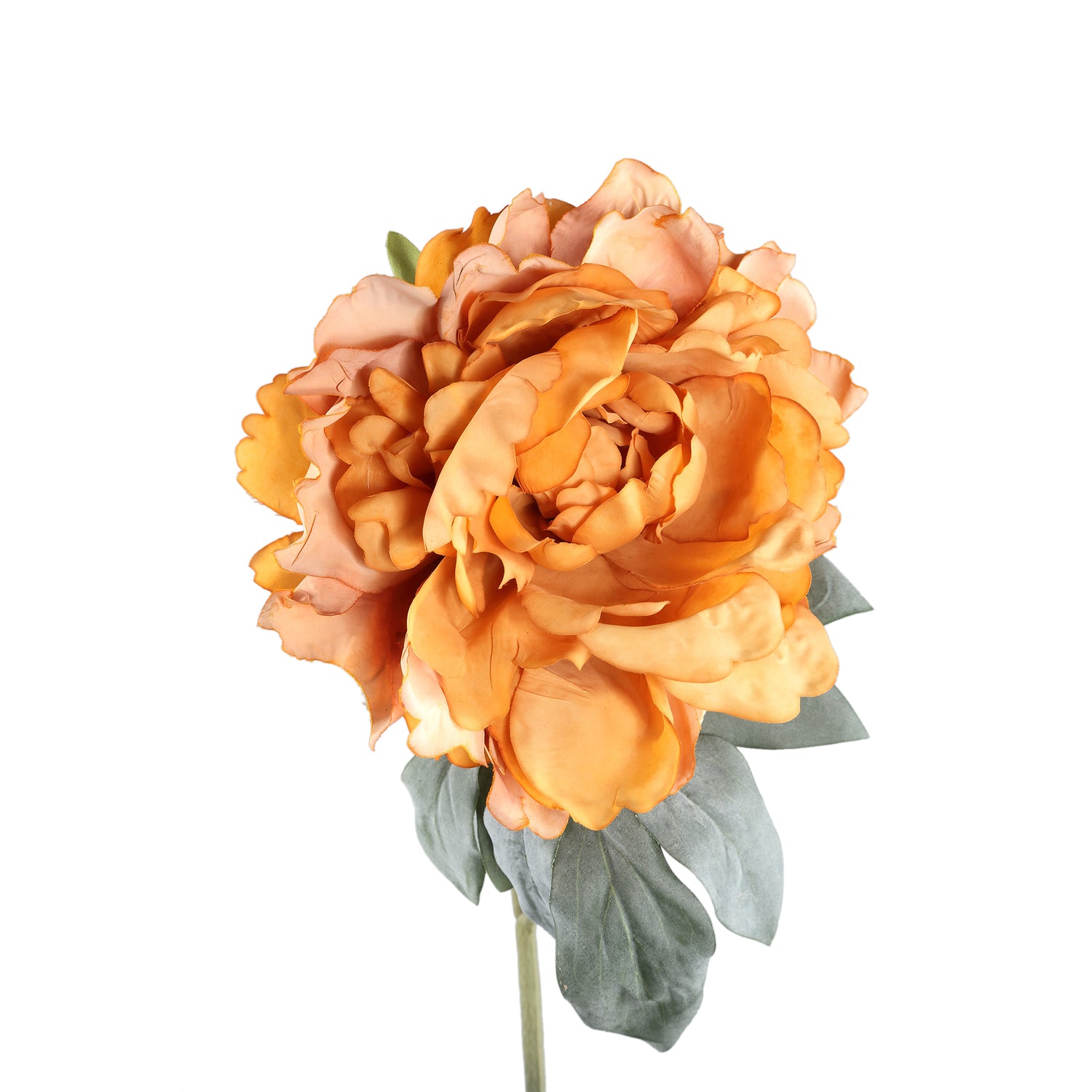 Peony Flower Orange With Flocked Leaves