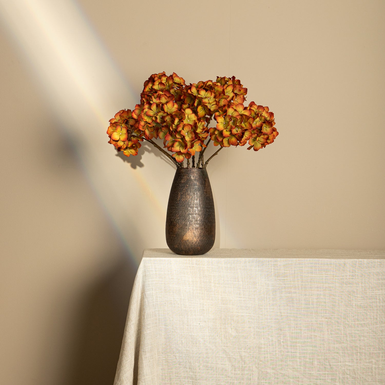 Hydrangea Flower Orange Green Big Single Flower