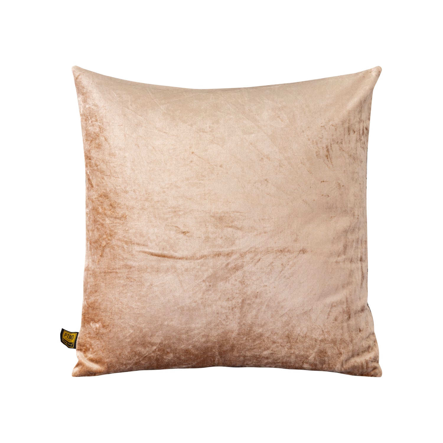 Kyleen Gold Velvet Square Cushion Crackle Print