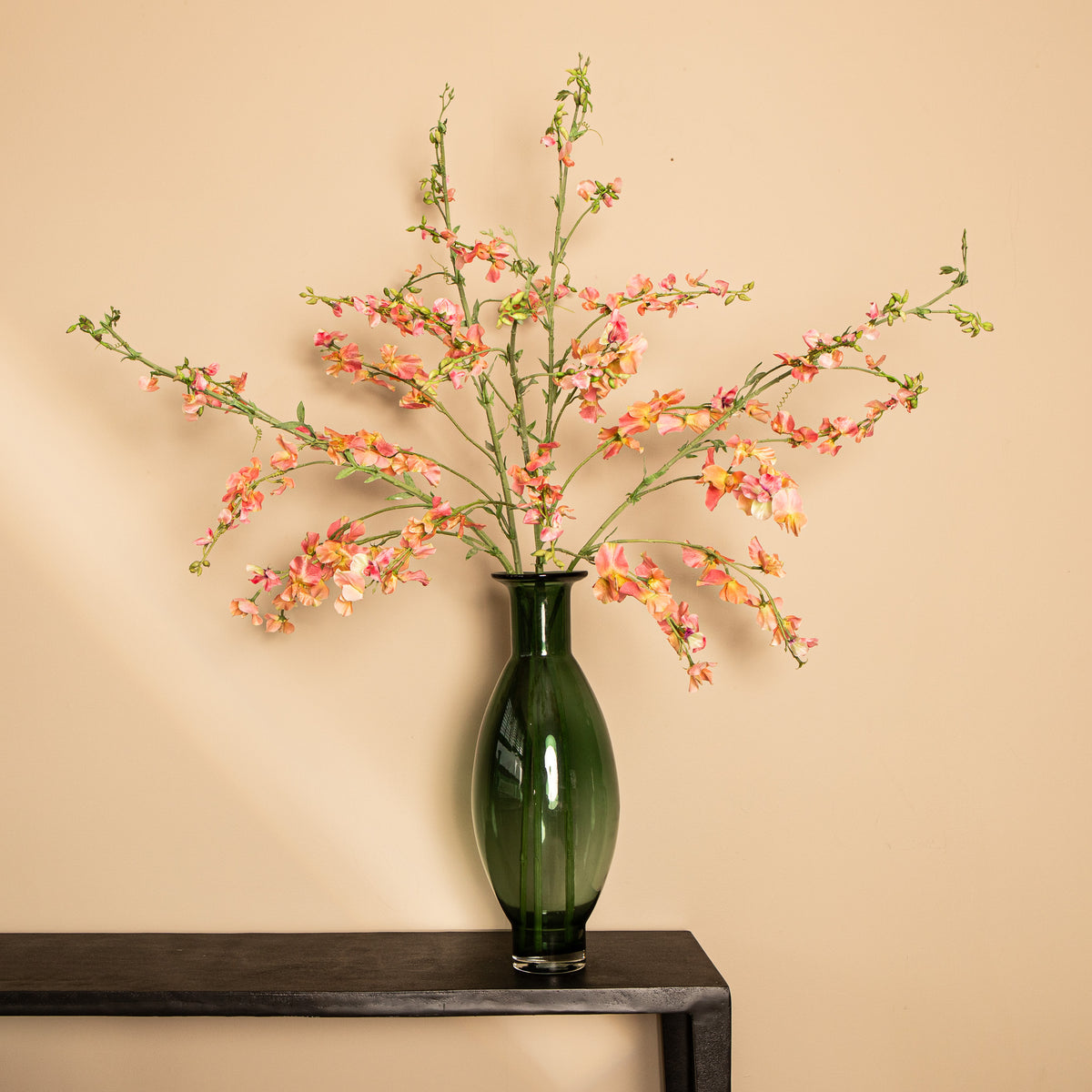 Garden Flower Pink Orange Sweetpea Stem