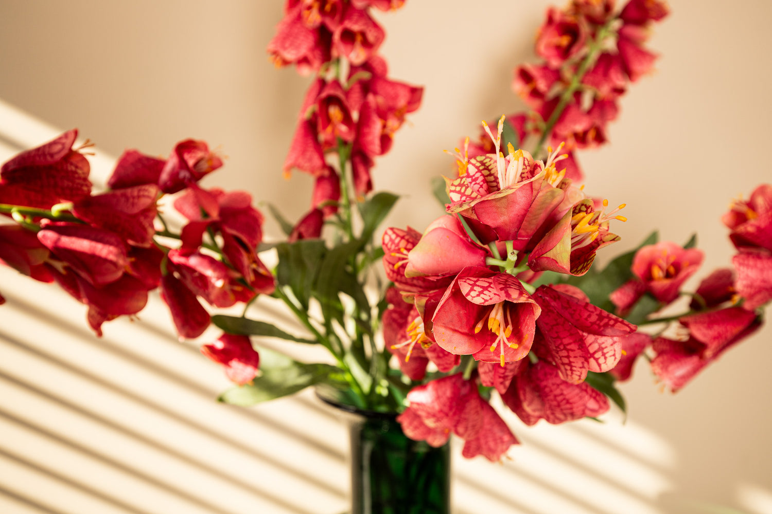 Garden Flower Red Fritillaria With Leaves