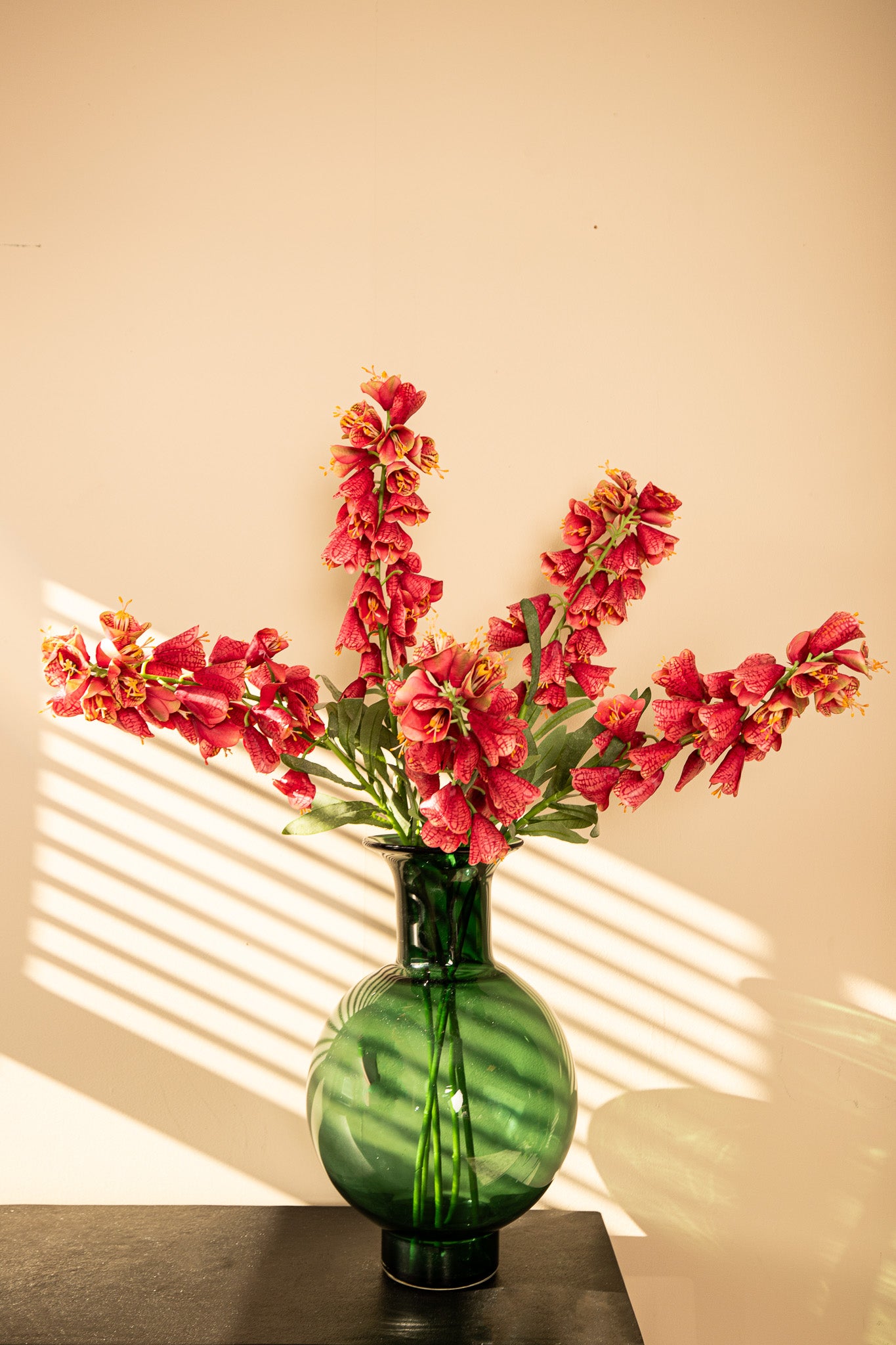 Garden Flower Red Fritillaria With Leaves