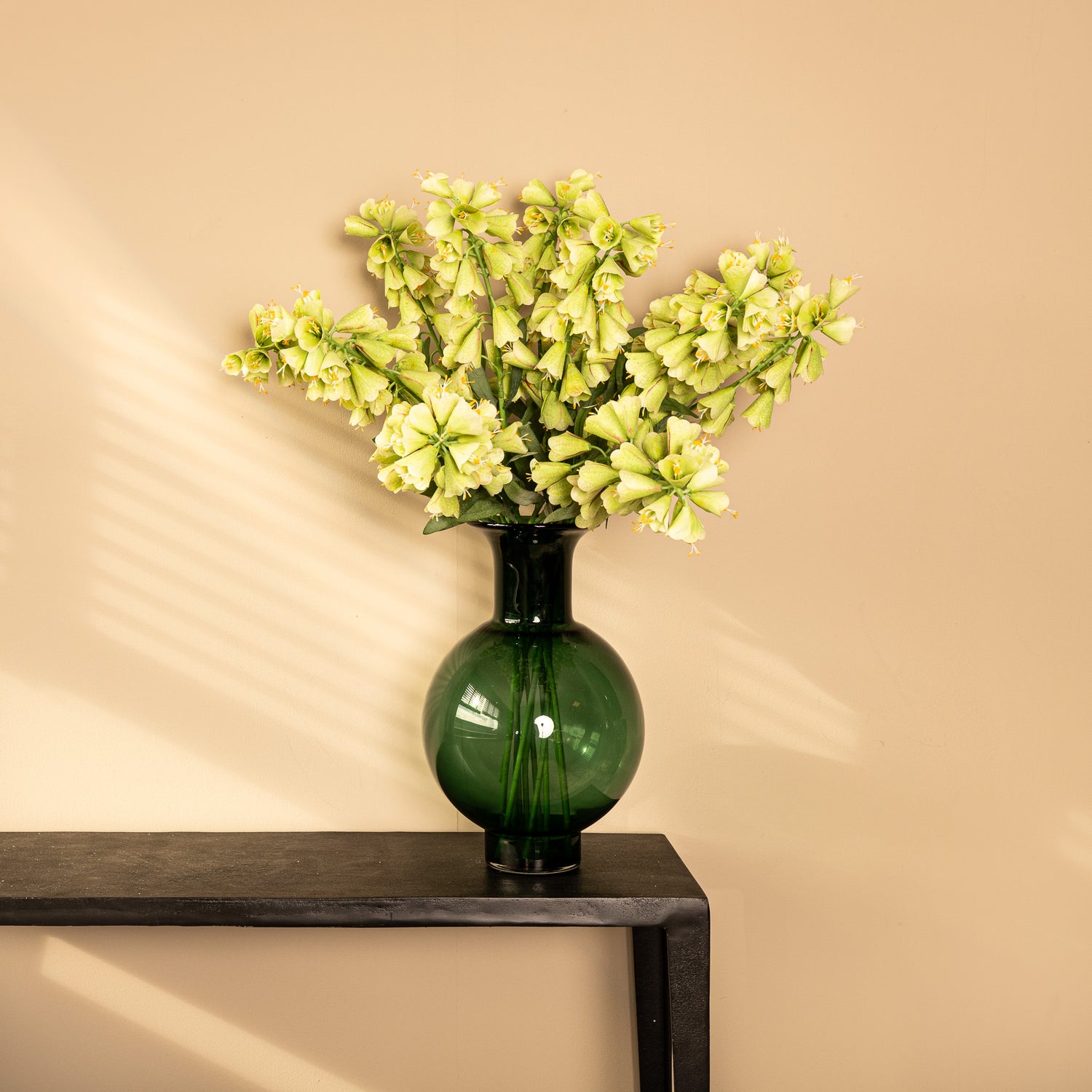 Garden Flower Green Fritillaria With Leaves
