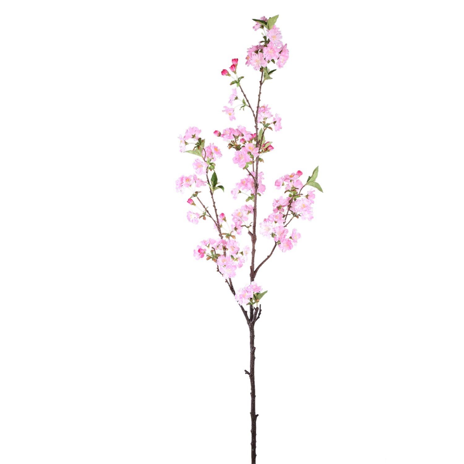 Blossom Flower Pink Plum Blossom Spray High