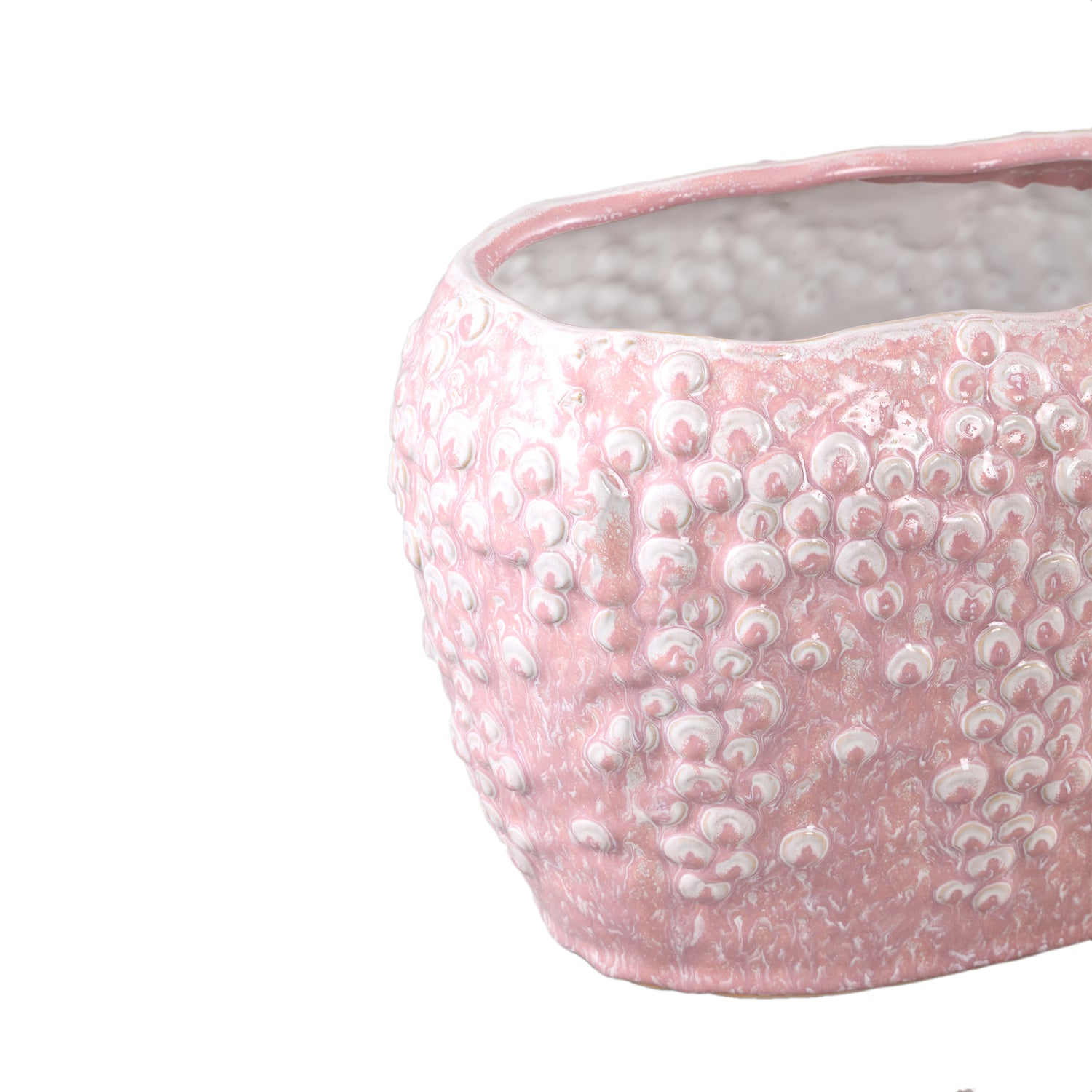 Avis PInk Ceramic Pot Oval Shaped Scales High