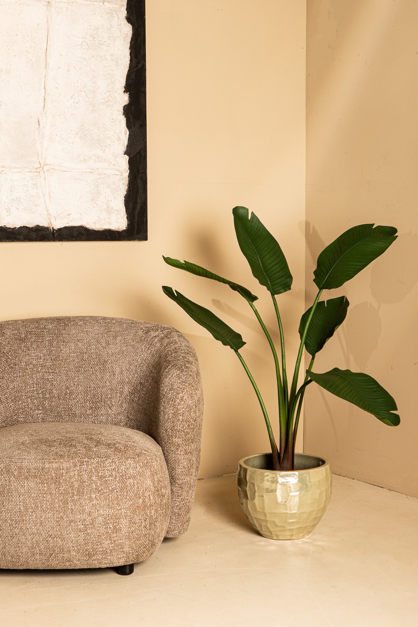 Tree Green Travellers Palm 6 Leaves In Plastic Pot