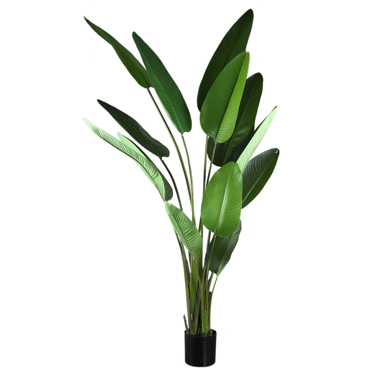 Leaves Plant Green PE Real Touch Strelitzia XL