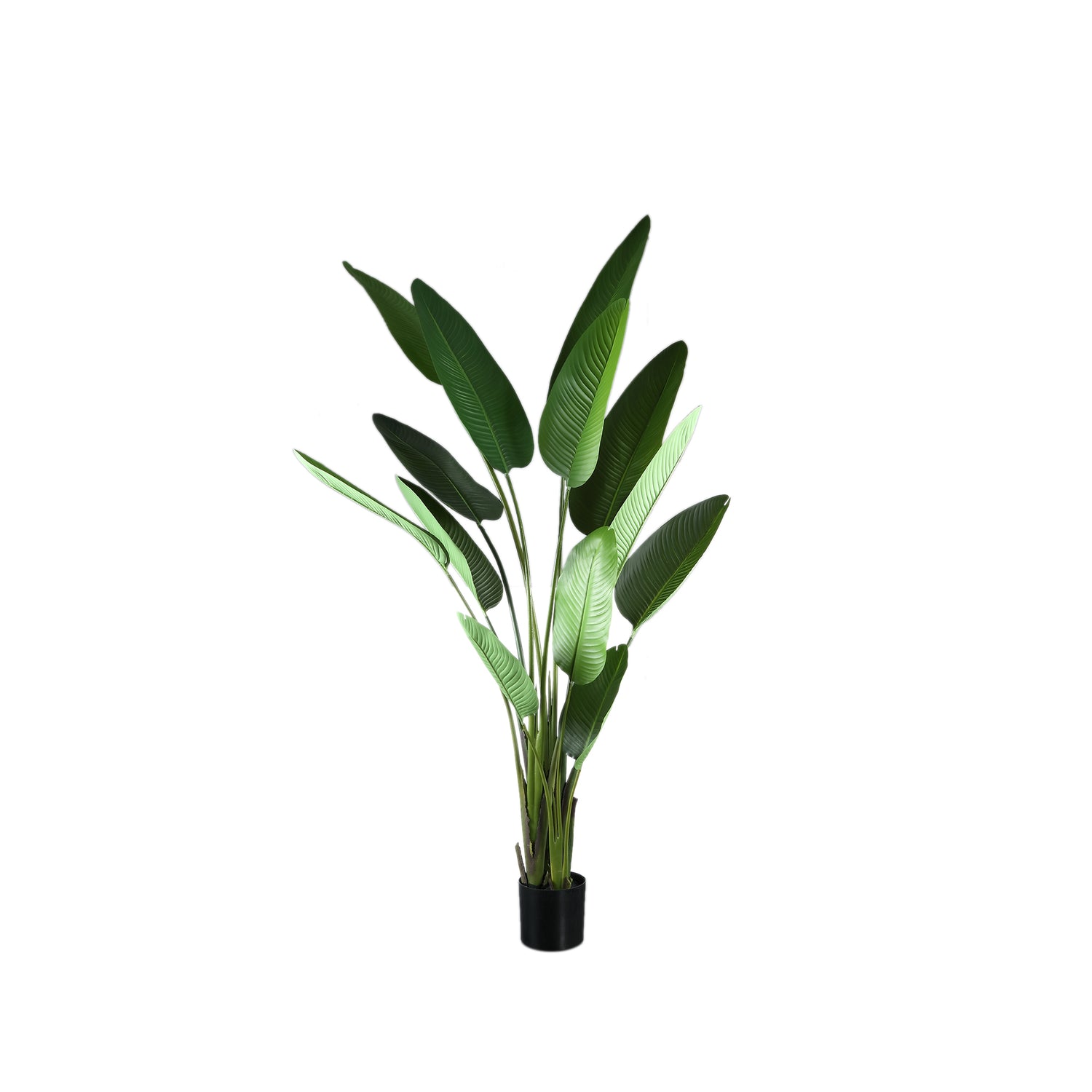 Leaves Plant Green PE Real Touch Strelitzia L