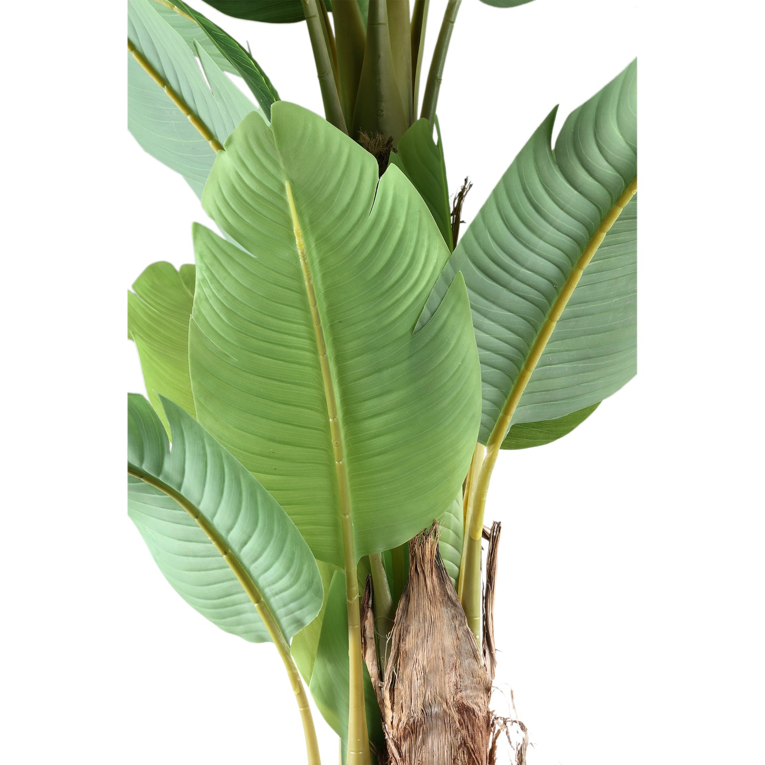 Tree Green PE Real Touch Banana Tree M