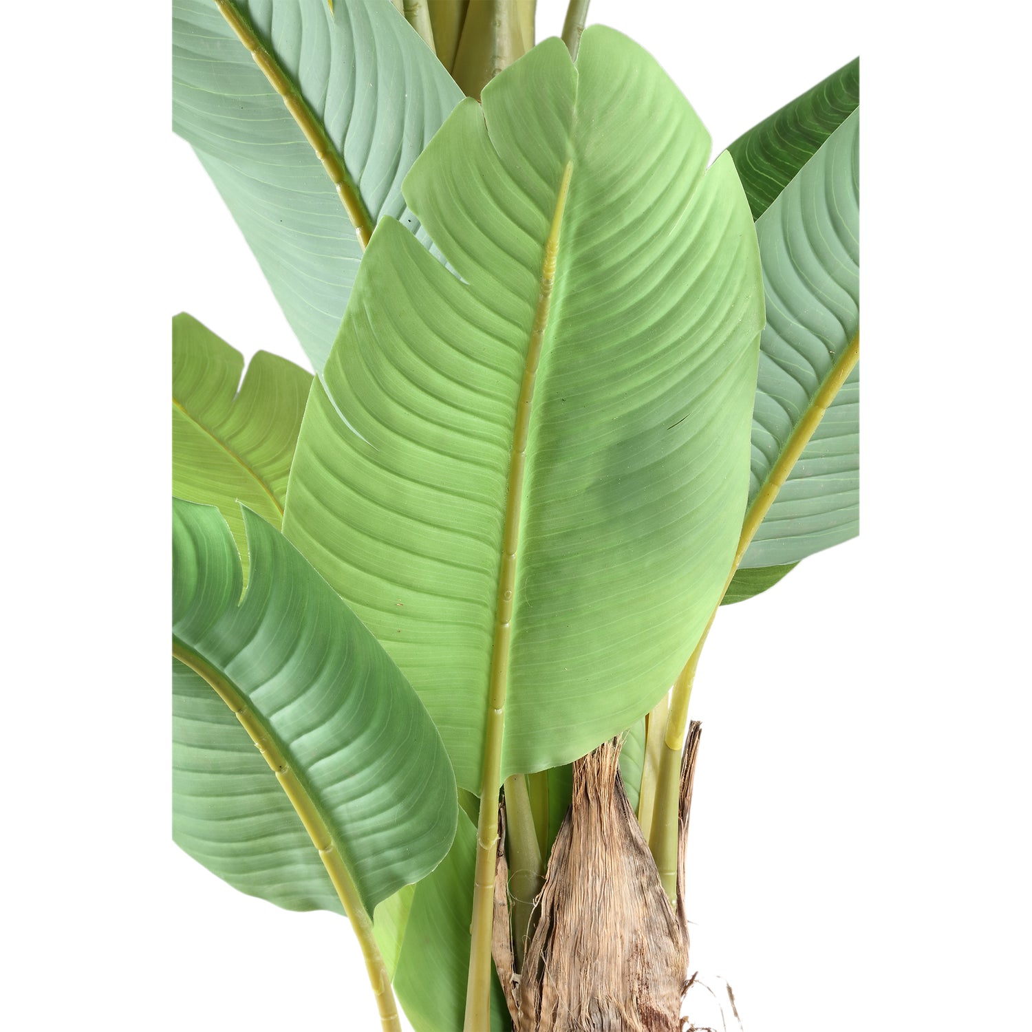 Tree Green PE Real Touch Banana Tree L