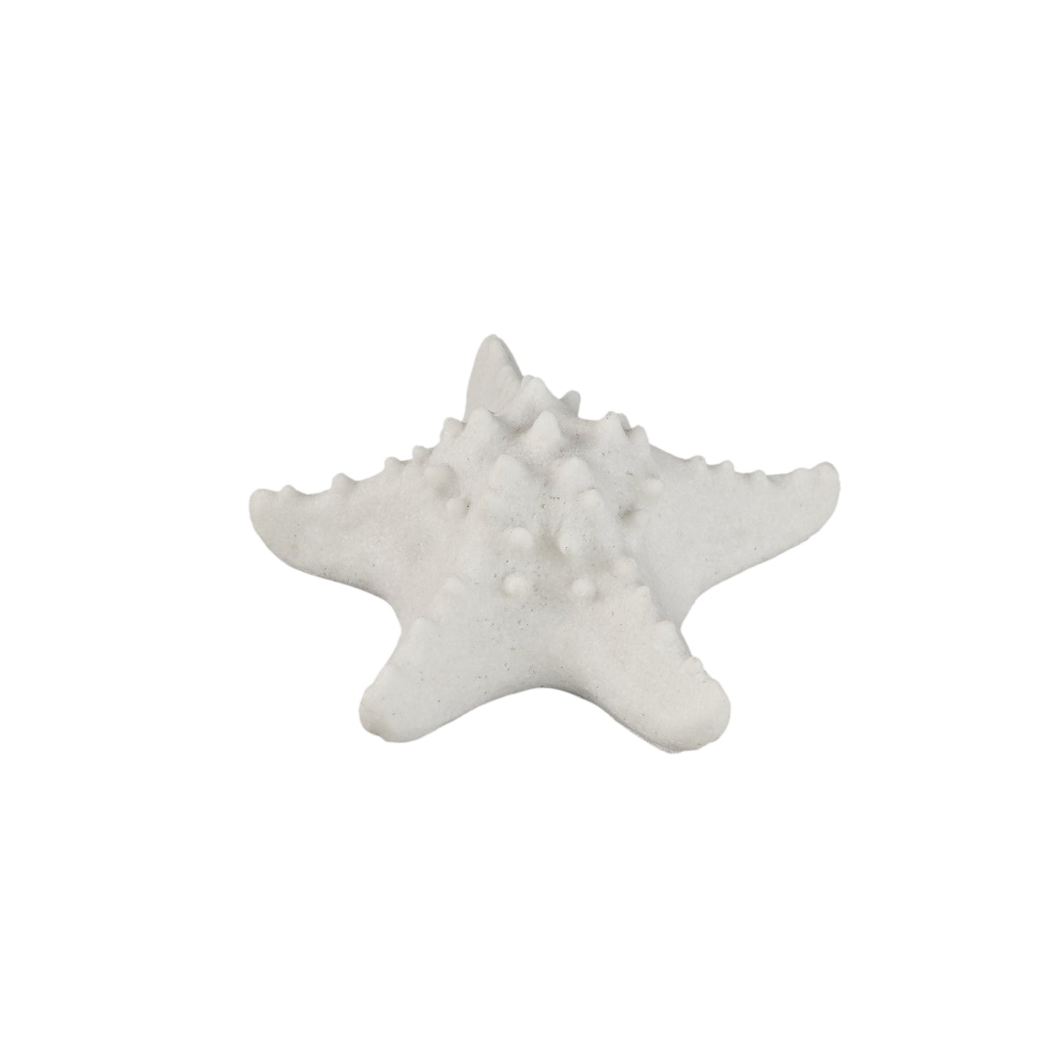 Graeme White Poly Sea Star Shaped LED Lamp S