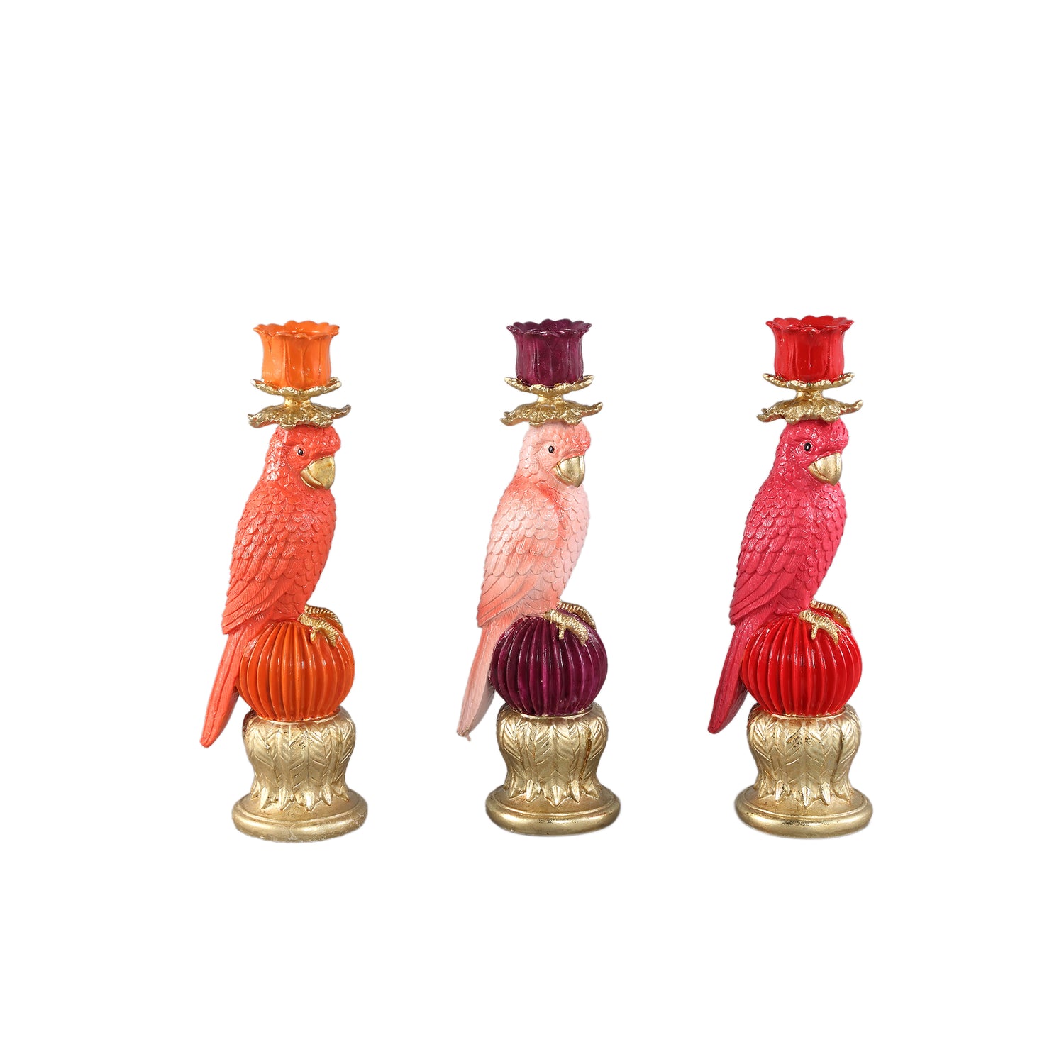 Keyaan Orange Poly Parrot Candleholder Ball Round