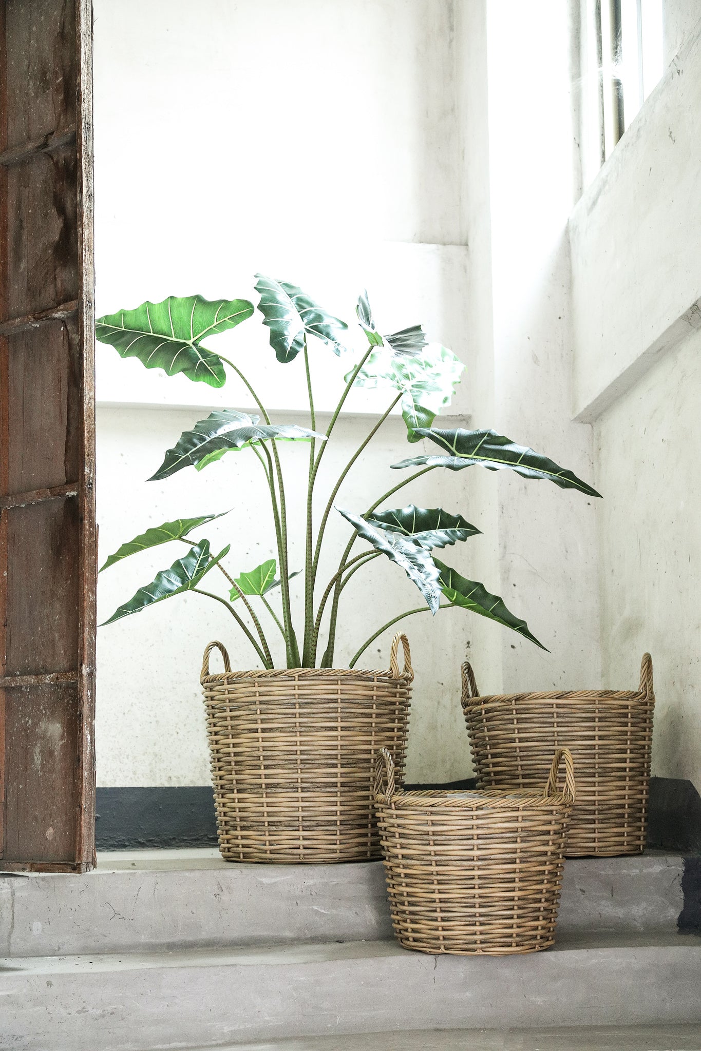 Jezzelle Natural PE Woven Basket High Set Of 3