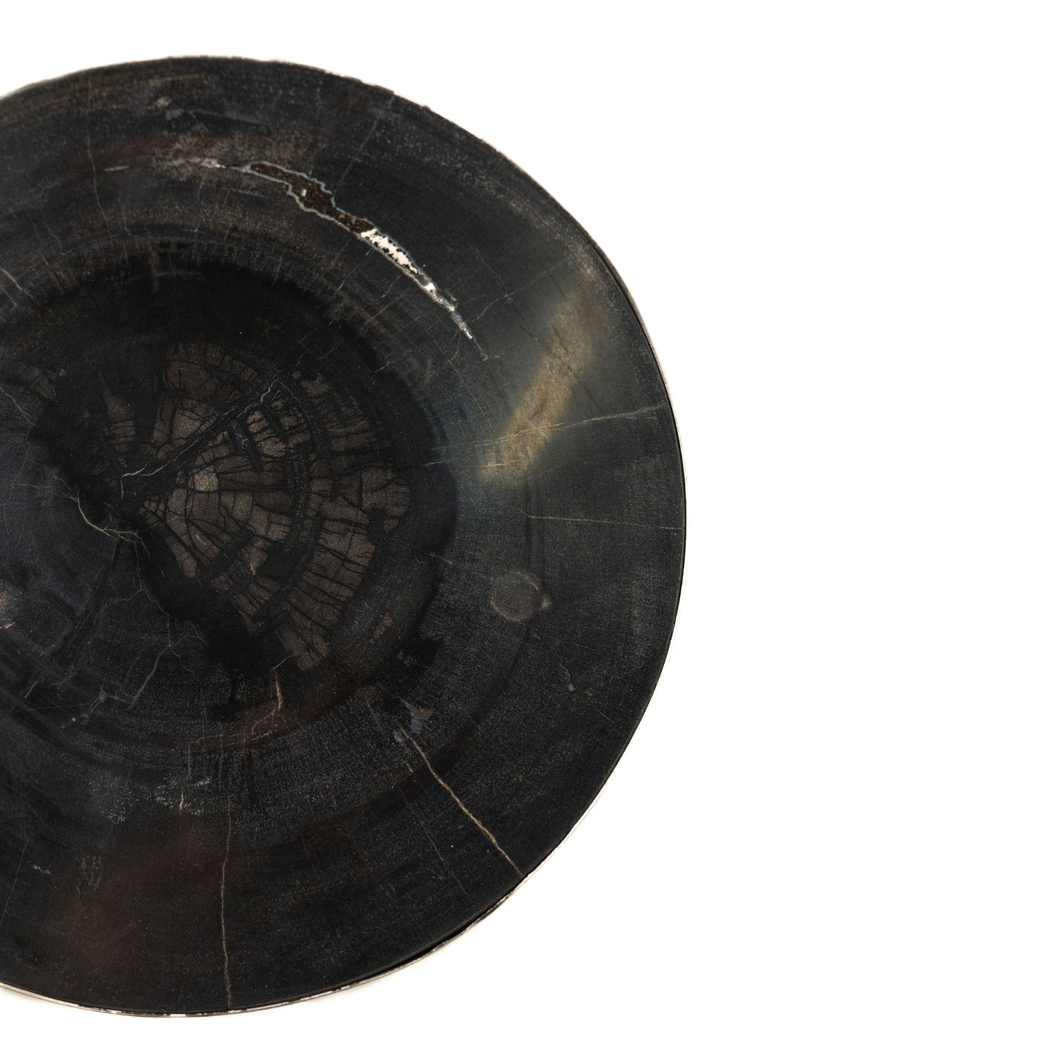 Rillix Black Petrified Wood Sidetable Nickel Round