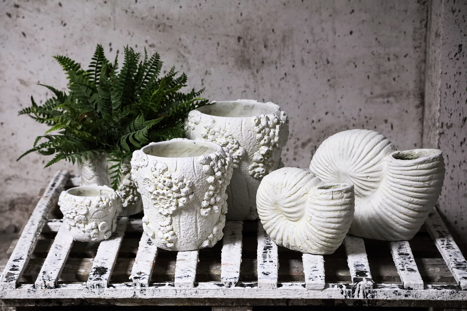 Shelly White Shell Shaped Cement Statue L