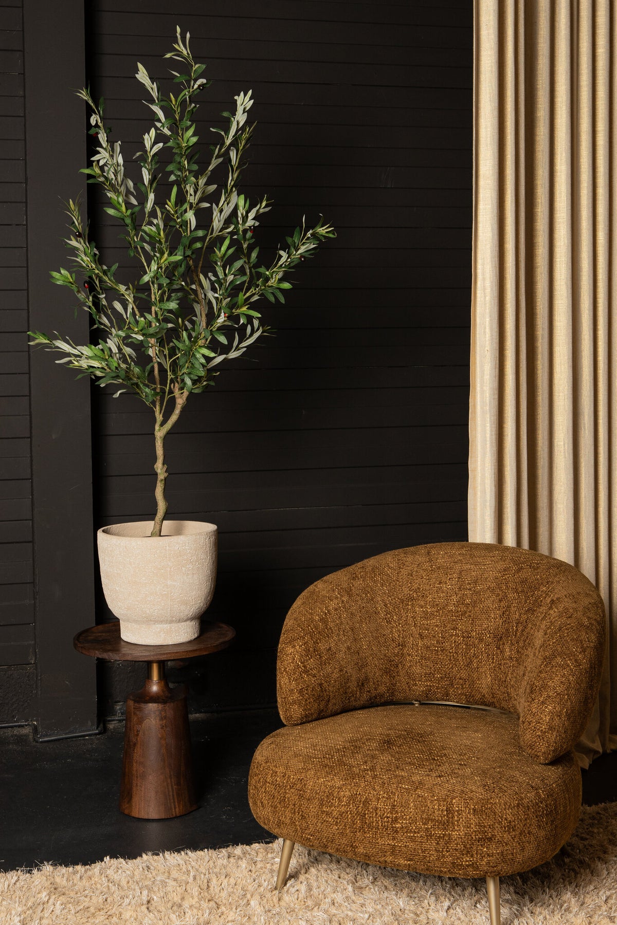 Tree Green Olive Tree In Pot L