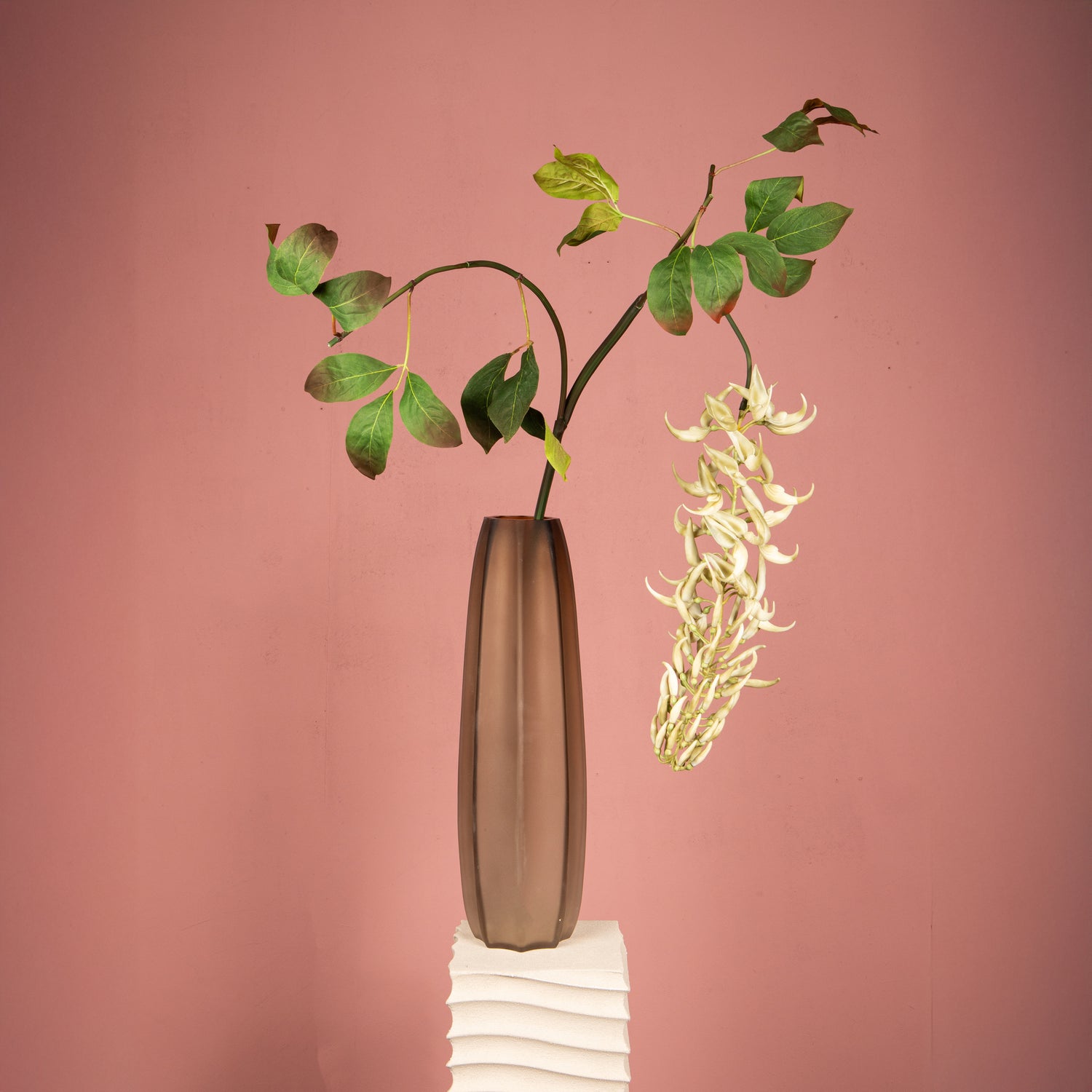 Leaves Plant White Strongylondon Spray