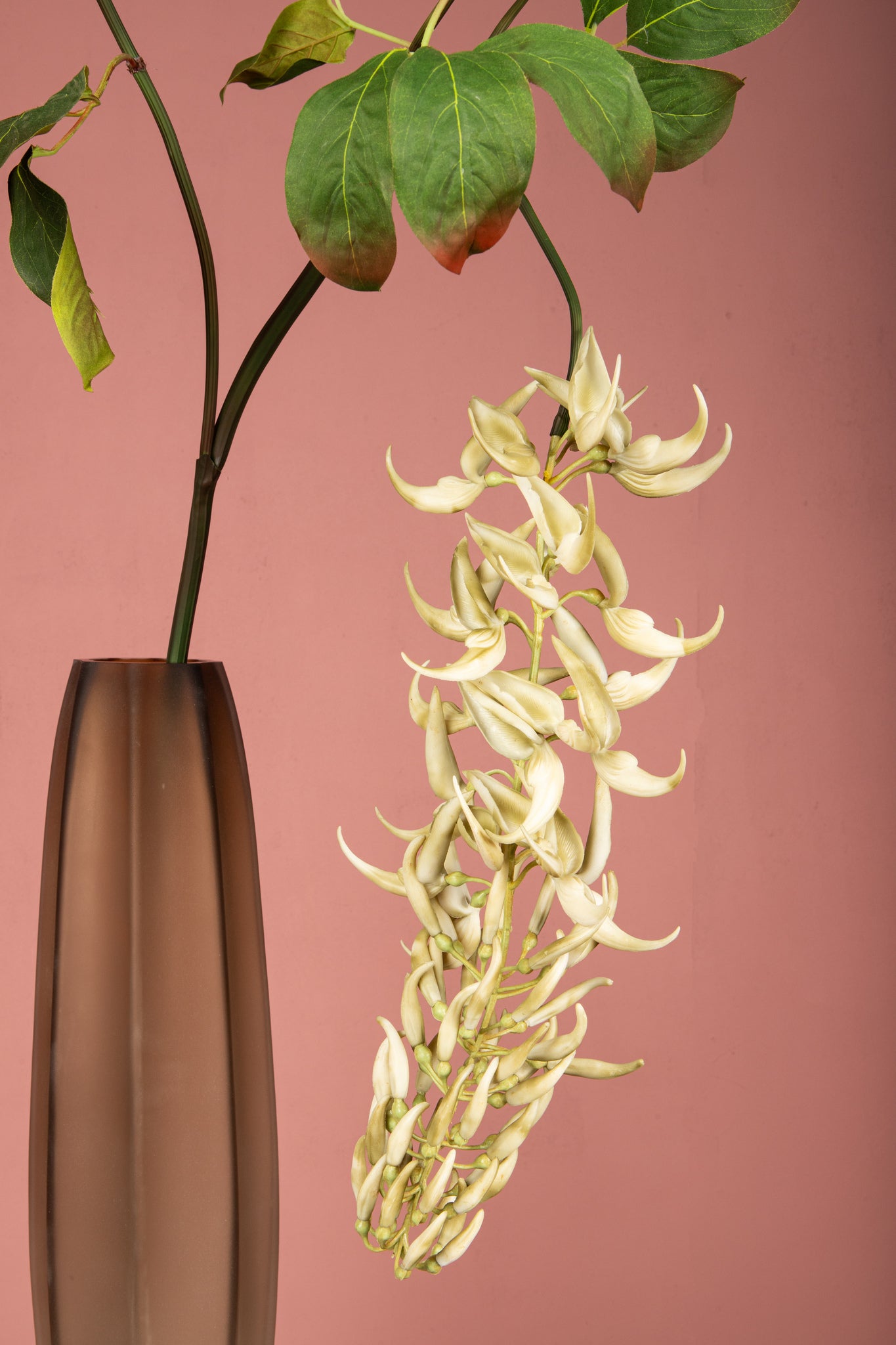 Leaves Plant White Strongylondon Spray