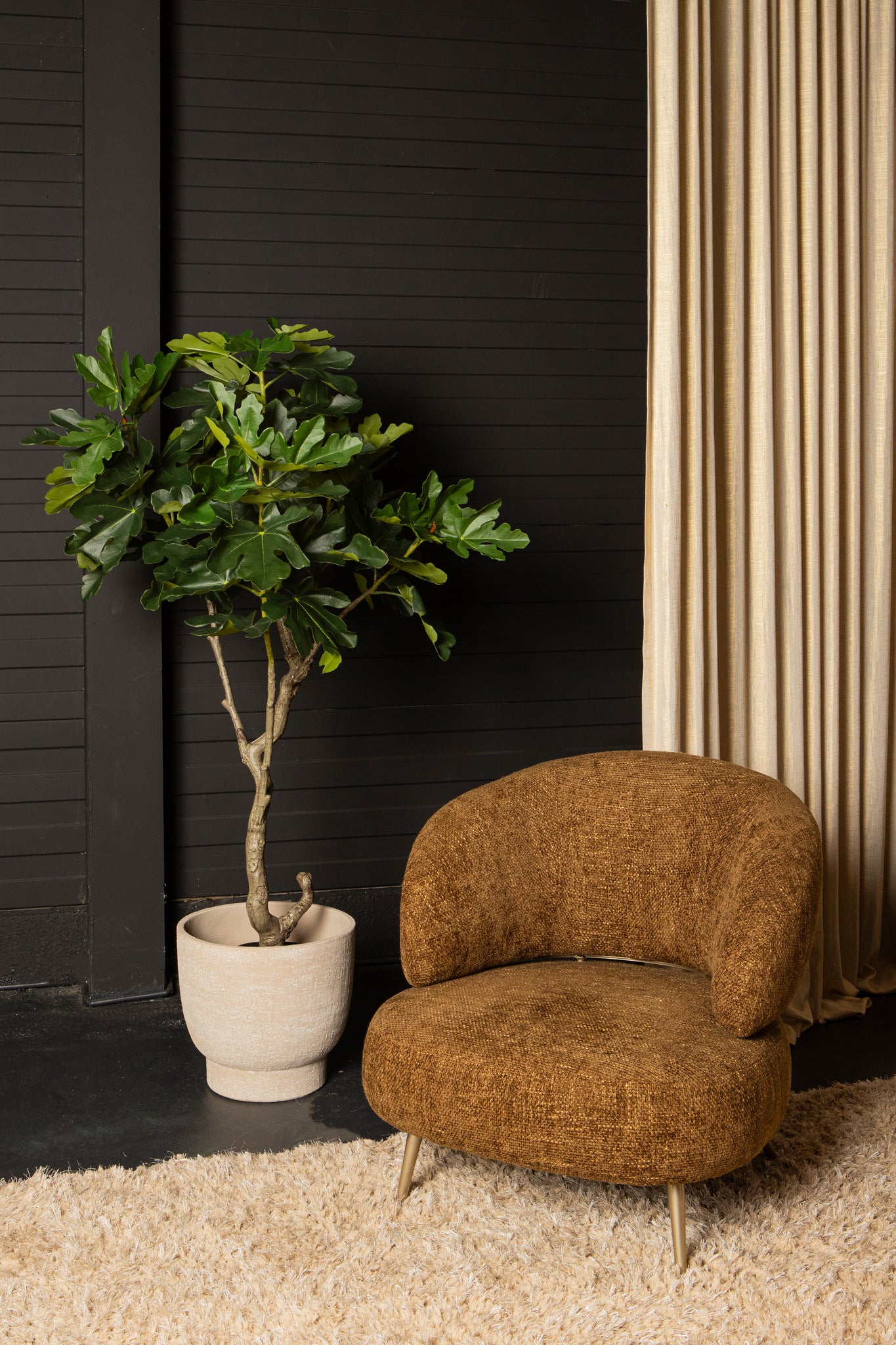 Tree Green Fig Tree In Pot L