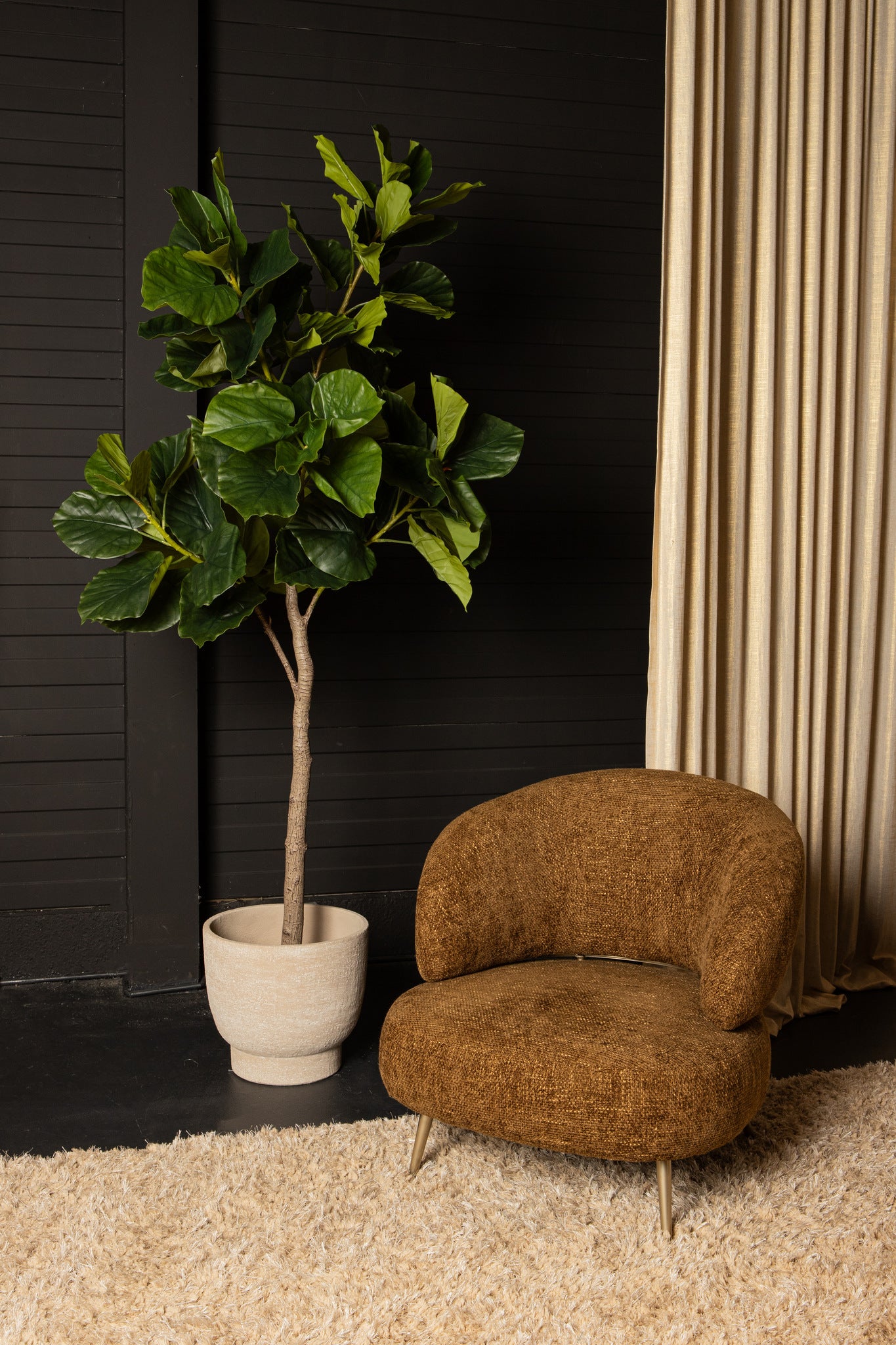 Tree Green Ficus Tree In Pot M