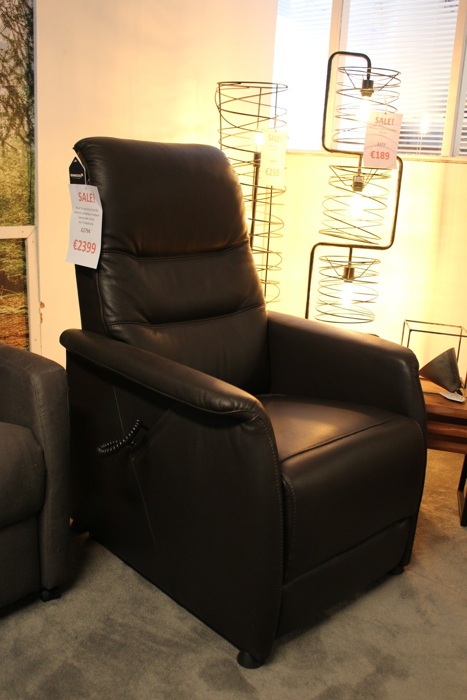 Recor - Sta-op fauteuil Corrido - Elektrisch - Leder - Incl. trolleyfunctie