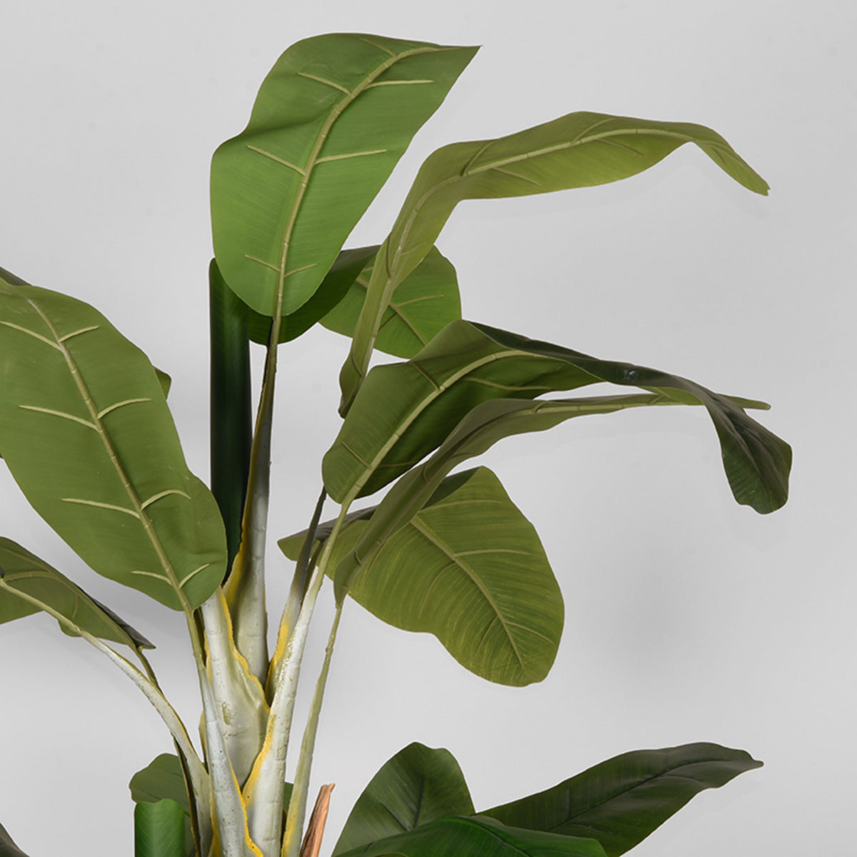 LABEL51 Musa - Green - Plastic - 180 cm