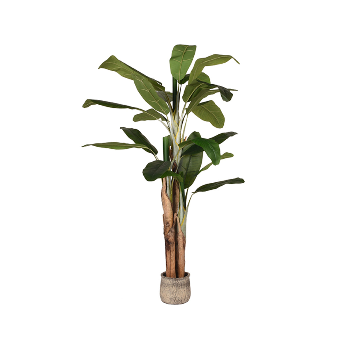 LABEL51 Musa - Green - Plastic - 180 cm
