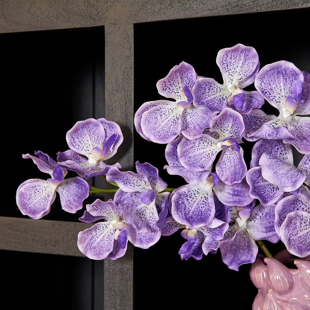 Bookcase Brussels Black | 5 compartments - 2 doors