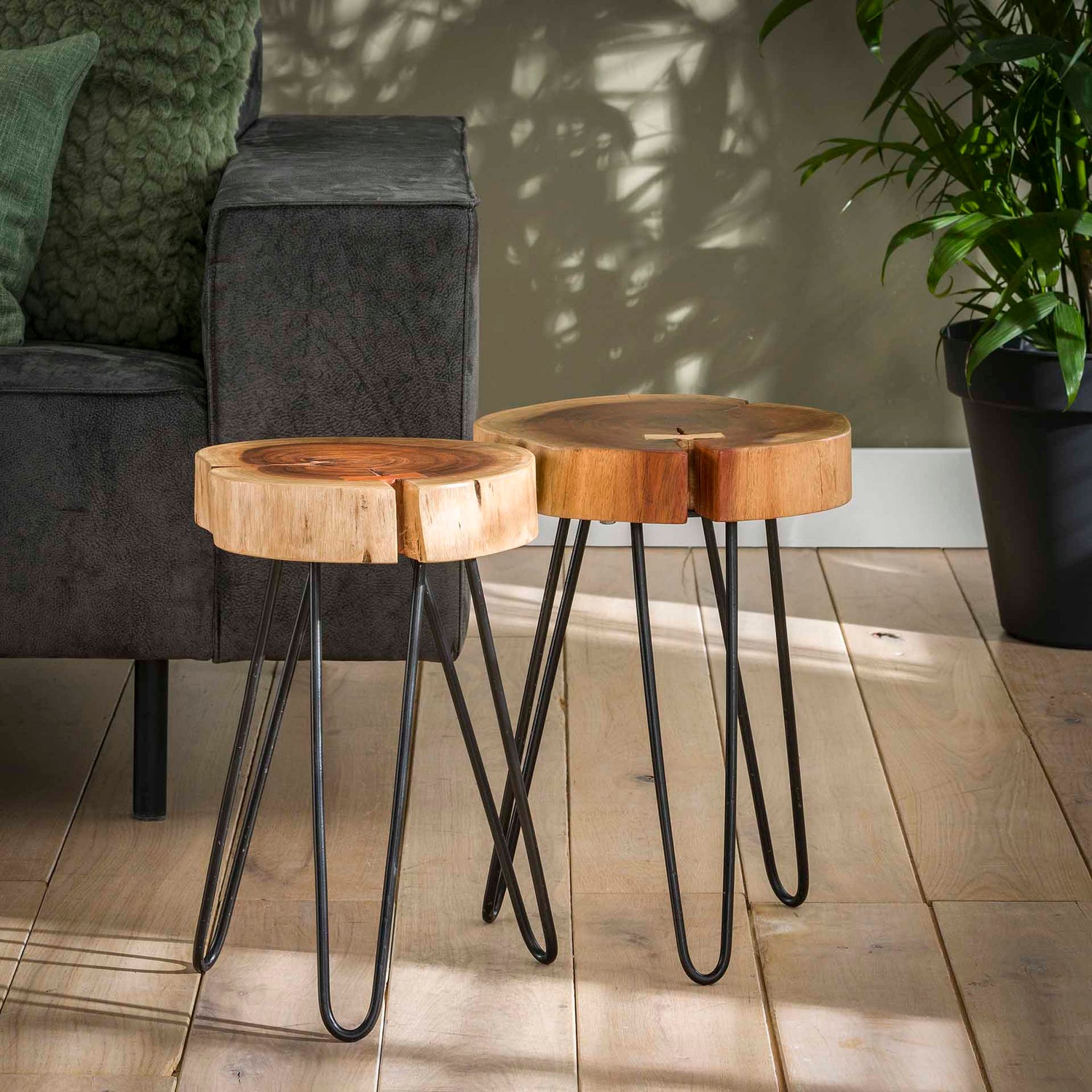 Bijzettafel stam met stalen frame - 32x32x45 cm - Acacia Naturaal