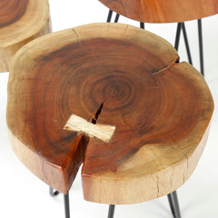Bijzettafel stam met stalen frame - 32x32x45 cm - Acacia Naturaal