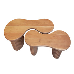 Salontafel Fuse - Set van 2 - 80x45x41 cm - Naturel - Acacia