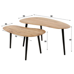 Salontafel Niervormig Organisch - Set van 2 - 90x50x40 cm - Naturel - Acacia