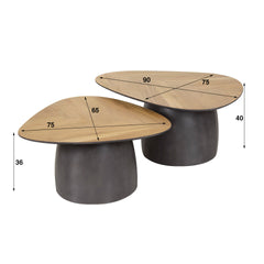 Salontafel Infinite - Set van 2 - 90x75x40 cm - Gerecycled Teakhout Fineer