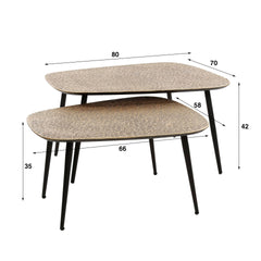 Salontafel XXL Metallic - Set van 2 - 80x70x42 cm - Brons Antiek