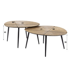 Salontafel Organisch Ray Metal - Set van 2 - 77x60x43 cm - Brons - Ray Metal