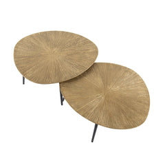 Salontafel Organisch Ray Metal - Set van 2 - 77x60x43 cm - Brons - Ray Metal
