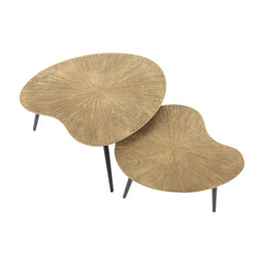 Salontafel Niervormige Ray Metal - Set van 2 - 71x56x40 cm - Brons