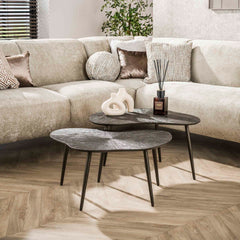 Salontafel Brown Ray Metal Leaf - Set van 2 - 76x62x41 cm - Donkerbruin Brons