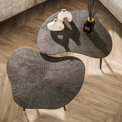 Salontafel Brown Ray Metal Leaf - Set van 2 - 76x62x41 cm - Donkerbruin Brons