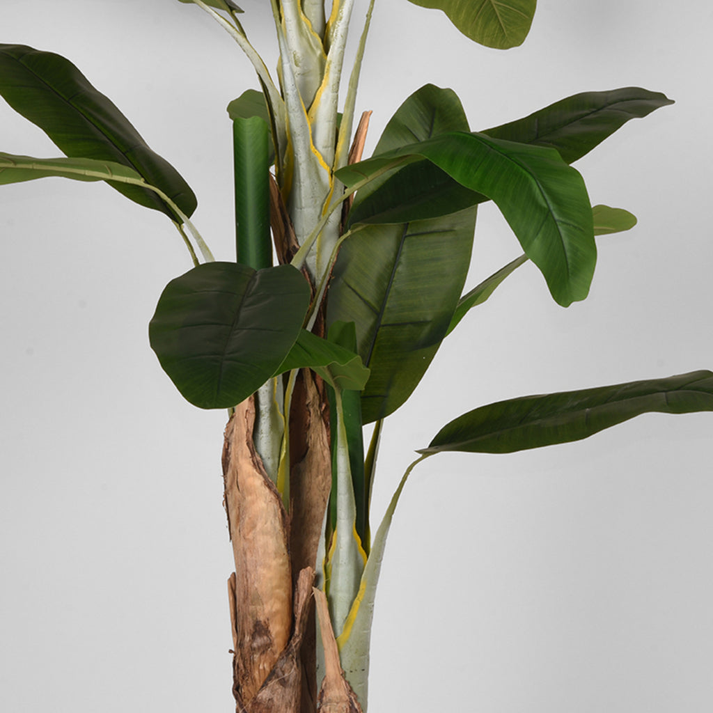 LABEL51 Musa - Green - Plastic - 180 cm