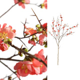 Blossom Flower Pink Cherry Blossom L