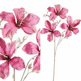 Garden Flower Pink Bauhinia Spray