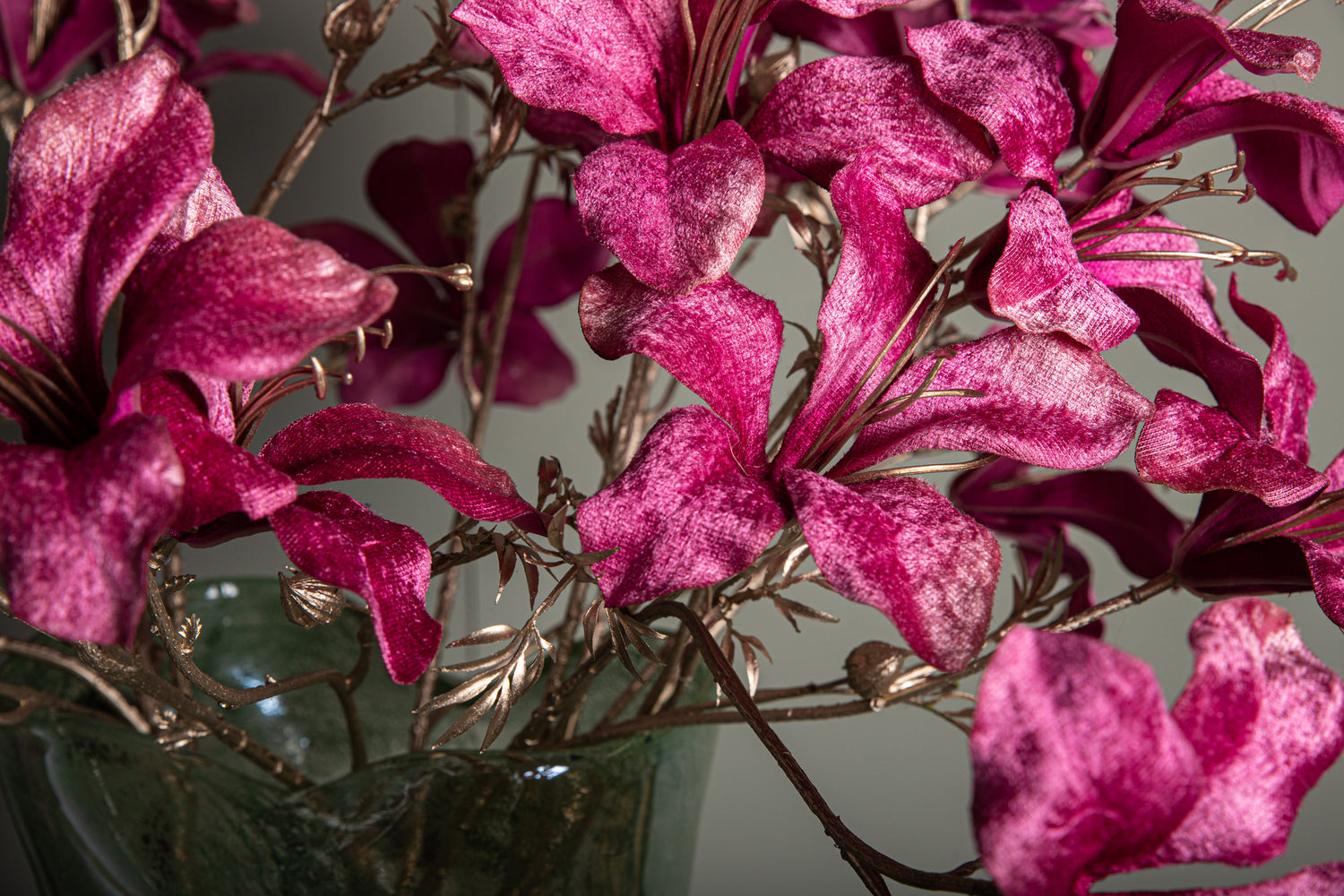 Garden Flower Pink Bauhinia Spray