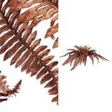 Fern Plant Copper Fern Bush Medium