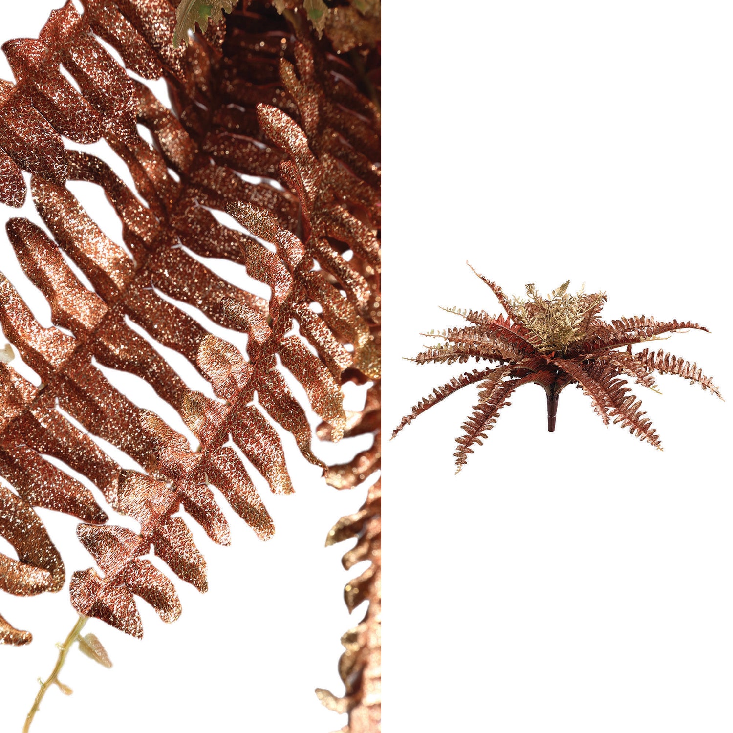 Fern Plant Copper Fern Bush Small