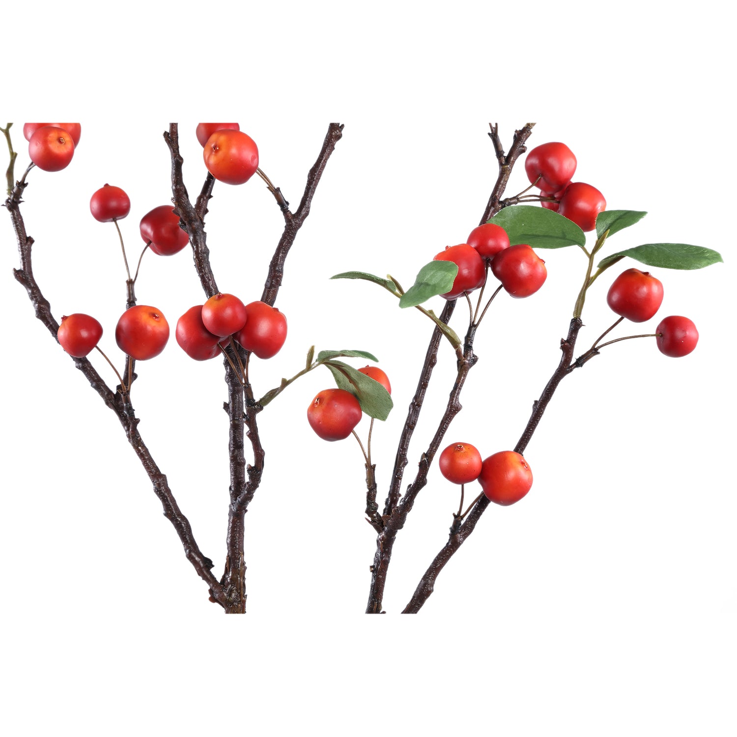 Leaves Plant Red Apple Spray With Leaves