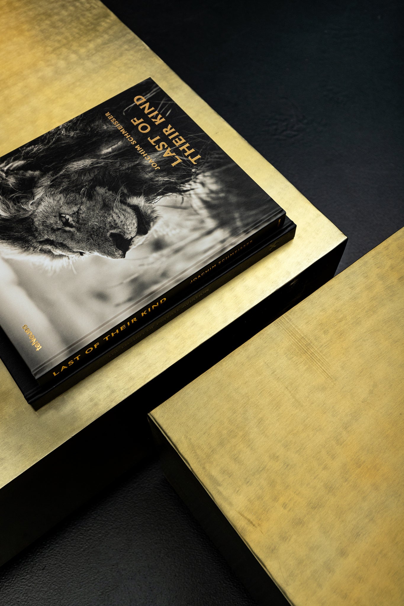 Irvy Gold Iron Coffeetable Square Matt Sv2