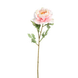 Peony Flower Light Pink With Bud