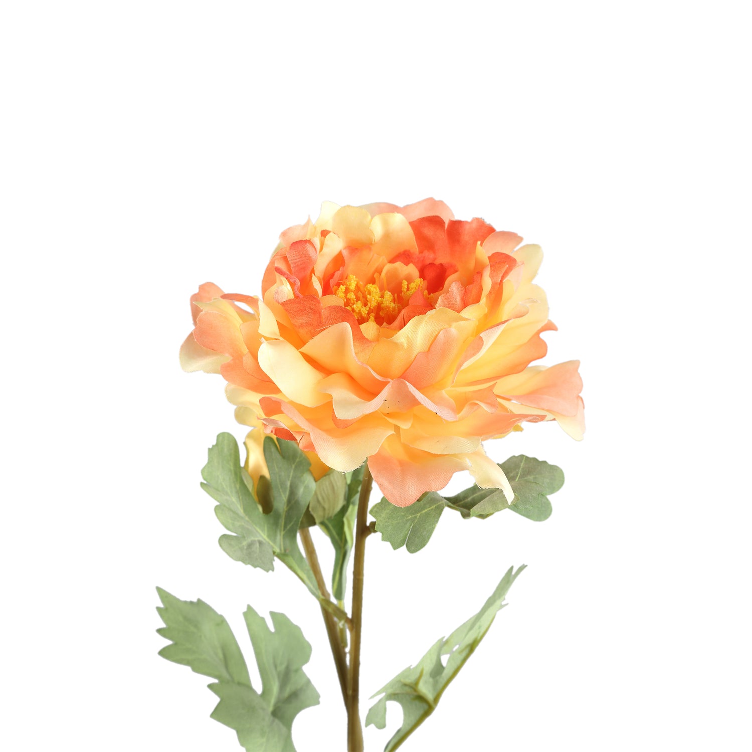 Peony Flower Orange With Bud