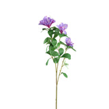 Garden Flower Purple Azalea With Leaves